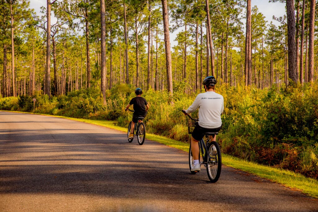 Two teen boys riding bikes down the Okefenokee Refuge road beside long leaf pine forest