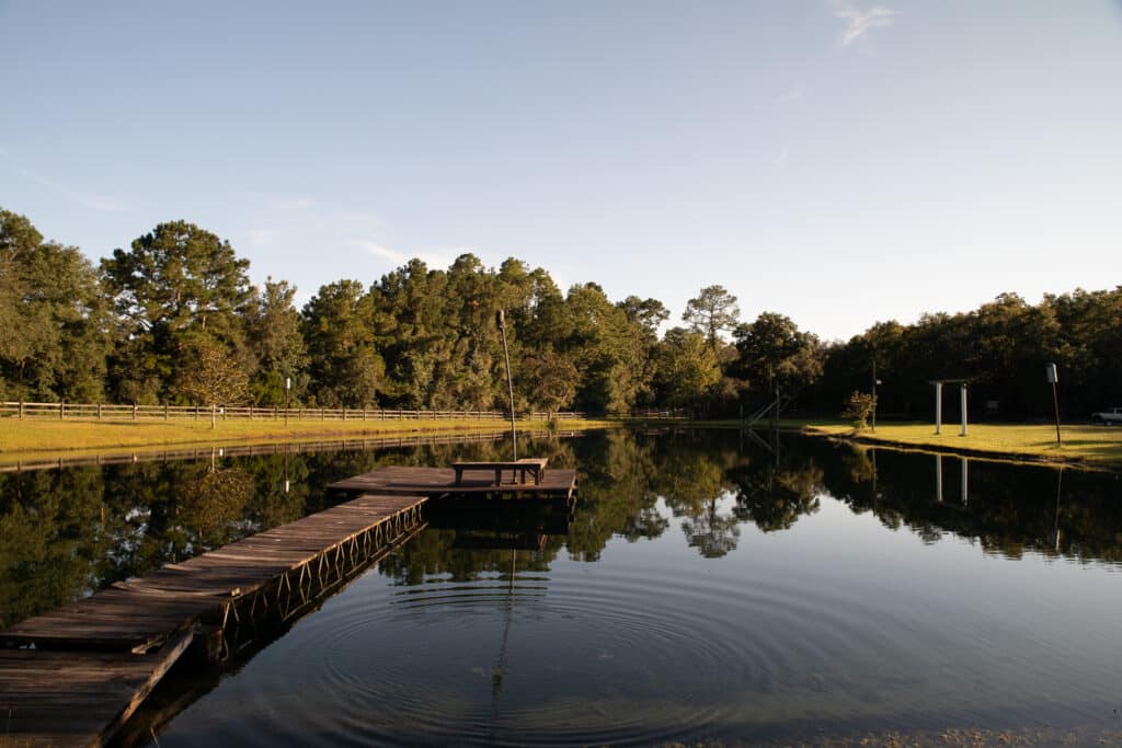 A dock juts out into the lake surrounded by pine trees at the Country Oaks RV Park and Campground