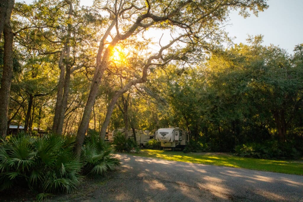 RVs nestled within the tree line at the Country Oaks RV Park and Campground