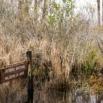 Waterways of the Okefenokee NWR