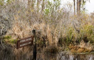 Waterways of the Okefenokee NWR