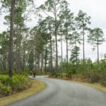 Okefenokee NWR - Biking