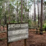 Chesser Island Homestead - Okefenokee NWR