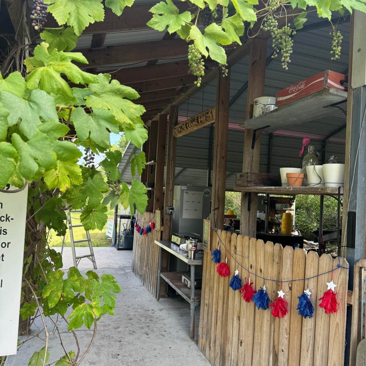 Morning Belle Farms Structure