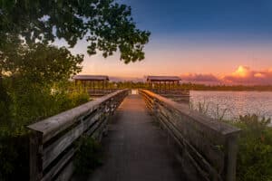 Satilla Waterfront Woodbine (2)
