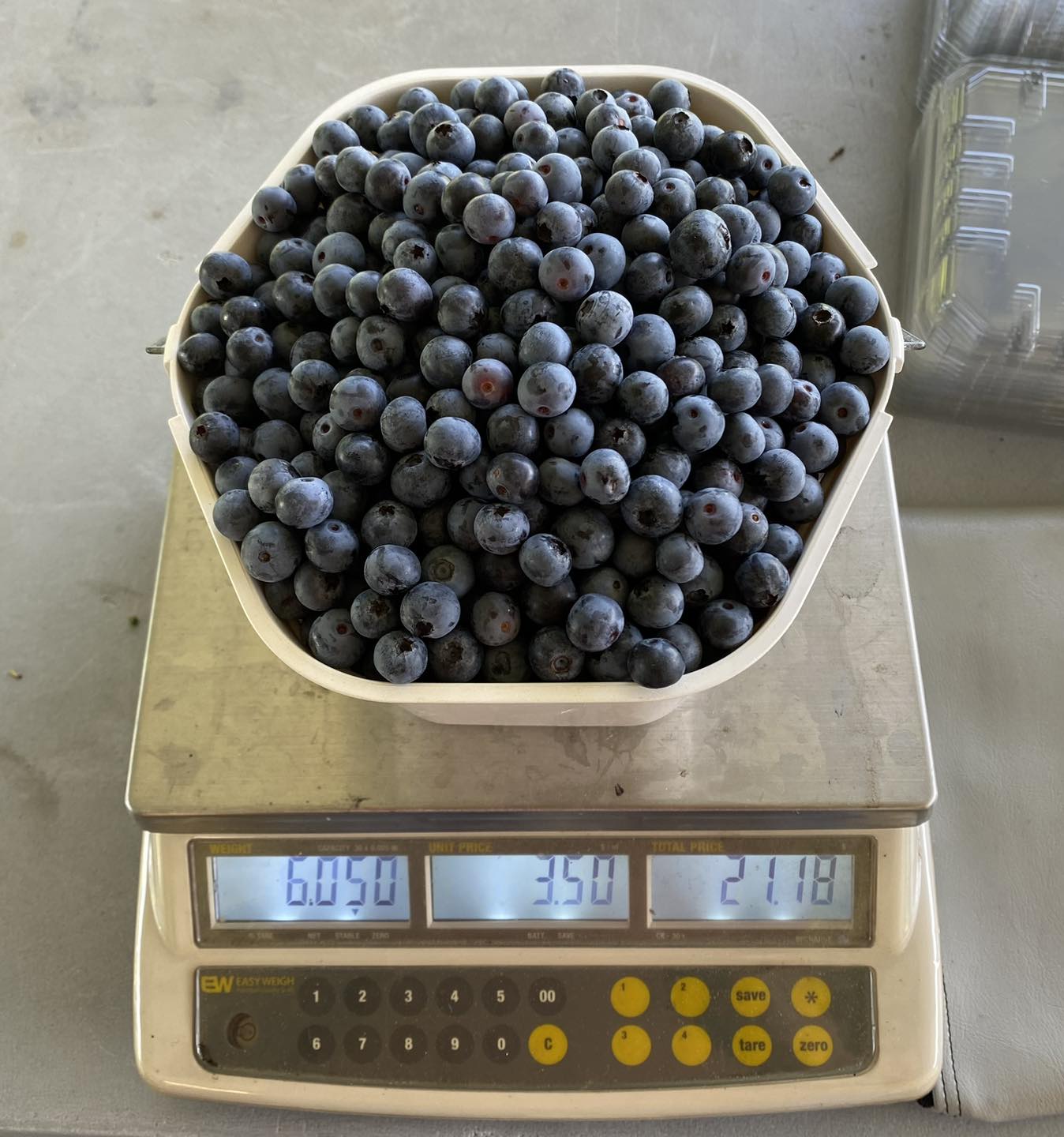 Vacuna Farms Basket of Blueberries on Scale