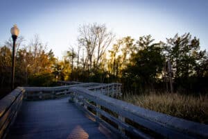 Woodbine Waterfront Park Shoot 1 (24)