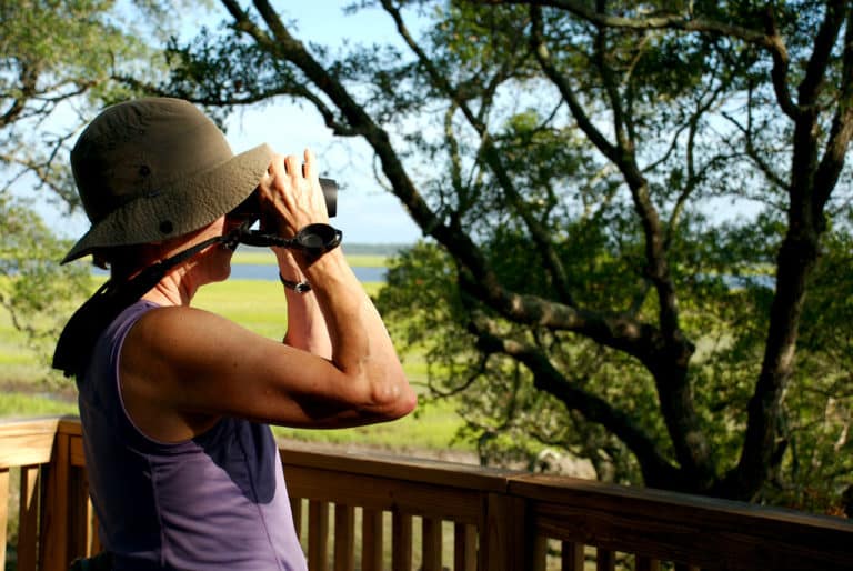 Crooked River State Park Visit Kingsland,
