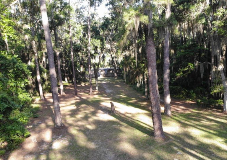 mcintosh sugarmill ruins