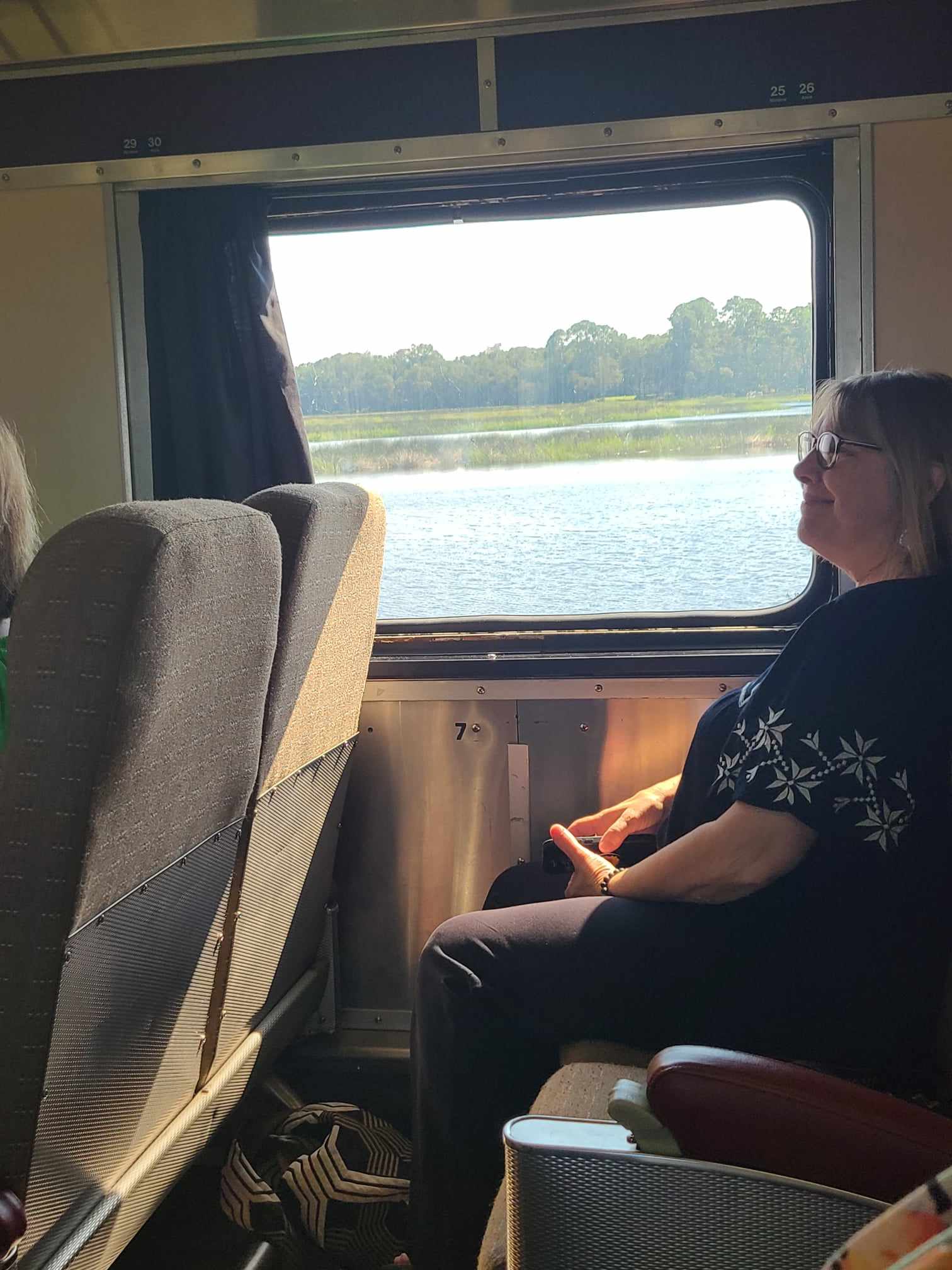 train-ride-pirates-coastal-views-train-ride-kingsland-georgia-downtown-coastal-train