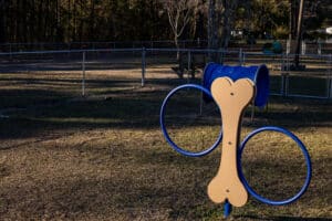 Dog Park Shoot 1 (17)
