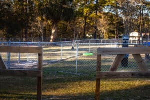 Dog Park Shoot 1 (28)