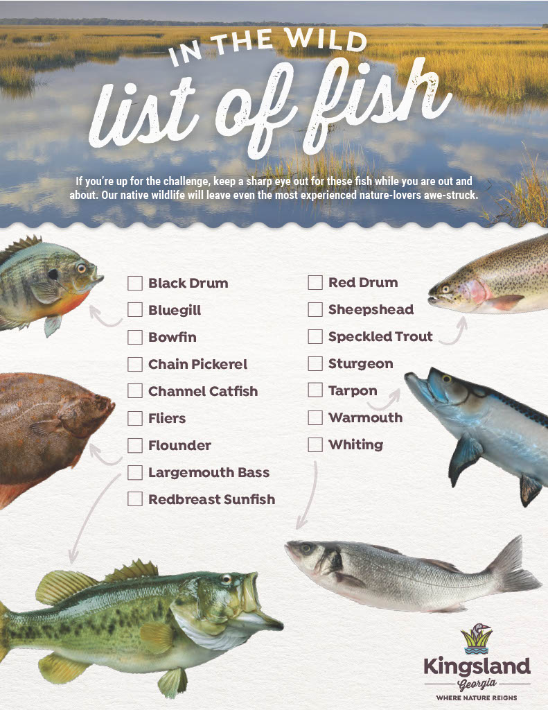 fish species checklist