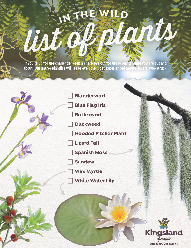 plants species checklist