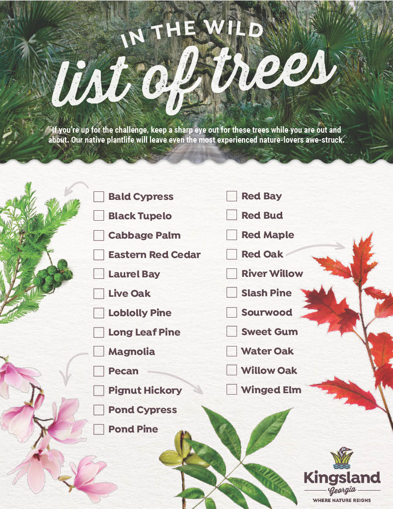 trees species checklist