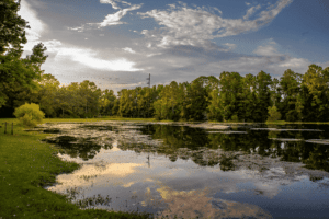 Notter Pond (32)