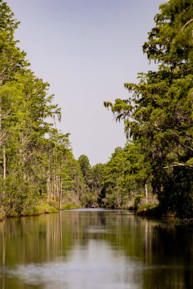 The Suwanee Canal of the Okefenokee Swamp inside the National Wildlife Refuge