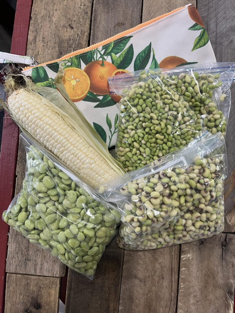 Three bags of dried beans, a half shucked ear of white corn, and a cloth zippered storage bag decoration with oranges from Farm to Family