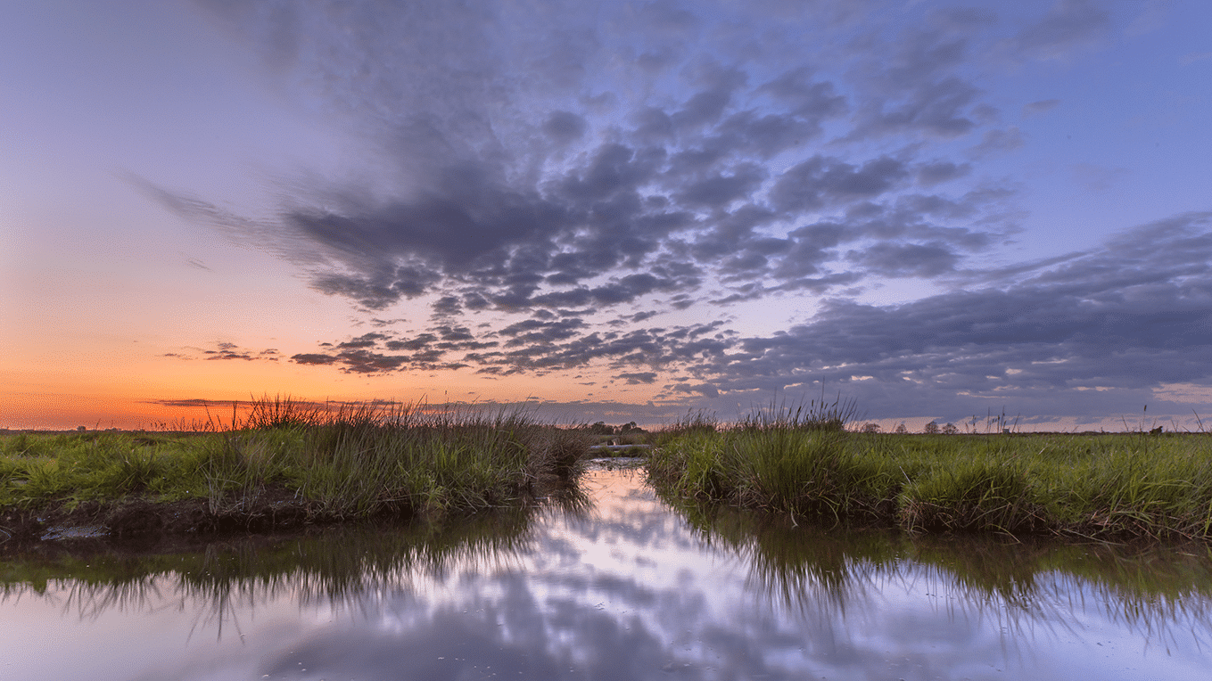 View from kayak of sunset over the marsh on the St. Marys River, with reflections of clouds on the still water