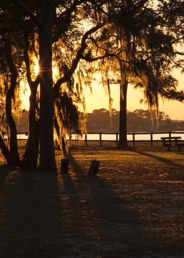Sunset at Crooked River State Park at Sunset. The sun is setting over the river and great oak trees become shadows