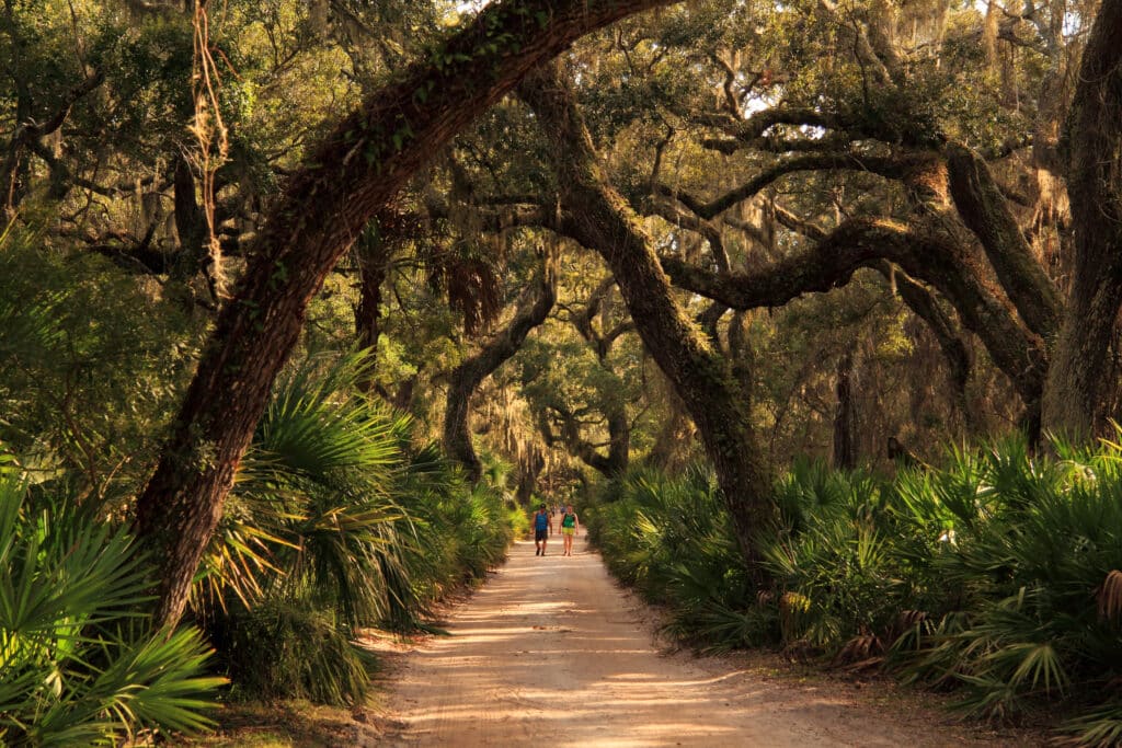 A couple travels to Kingsland Georgia and visits Cumberland Island, they walk through the trees on a hike toward the ruins