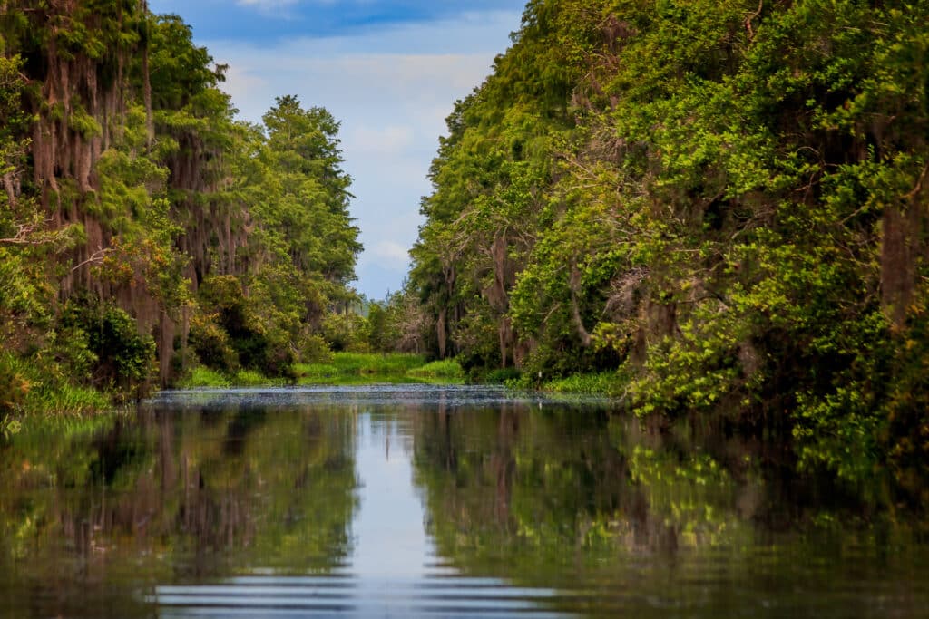 Paddling through the Suwanee Canal at the Okefenokee National Wildlife Refuge in the spring