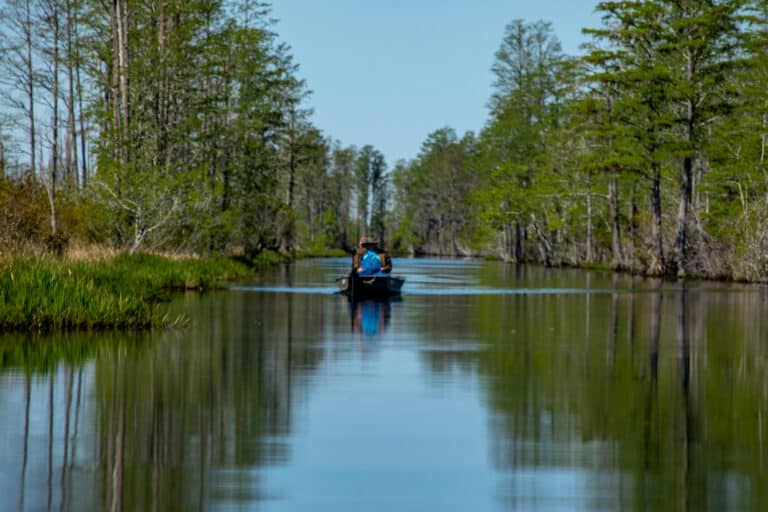 Okefenokee National Wildlife Refuge, Kingsland Georgia, Coastal Georgia, Amelia Island, St Simons Island, Georgia Vacations, Jacksonville Florida