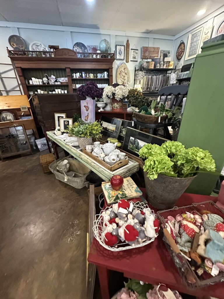 image-cottle-and-gunn-downtown-st-marys-georgia-inside-front-room-gifts-handmade-boutique