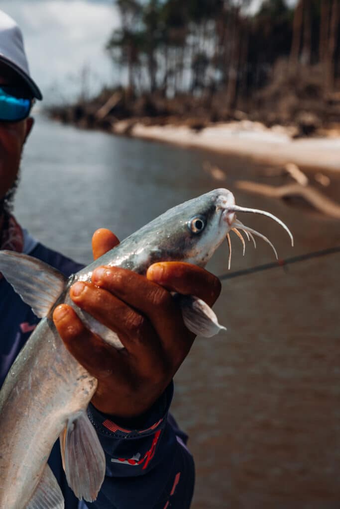 fishing-charter-kingsland-holding-large-catfish