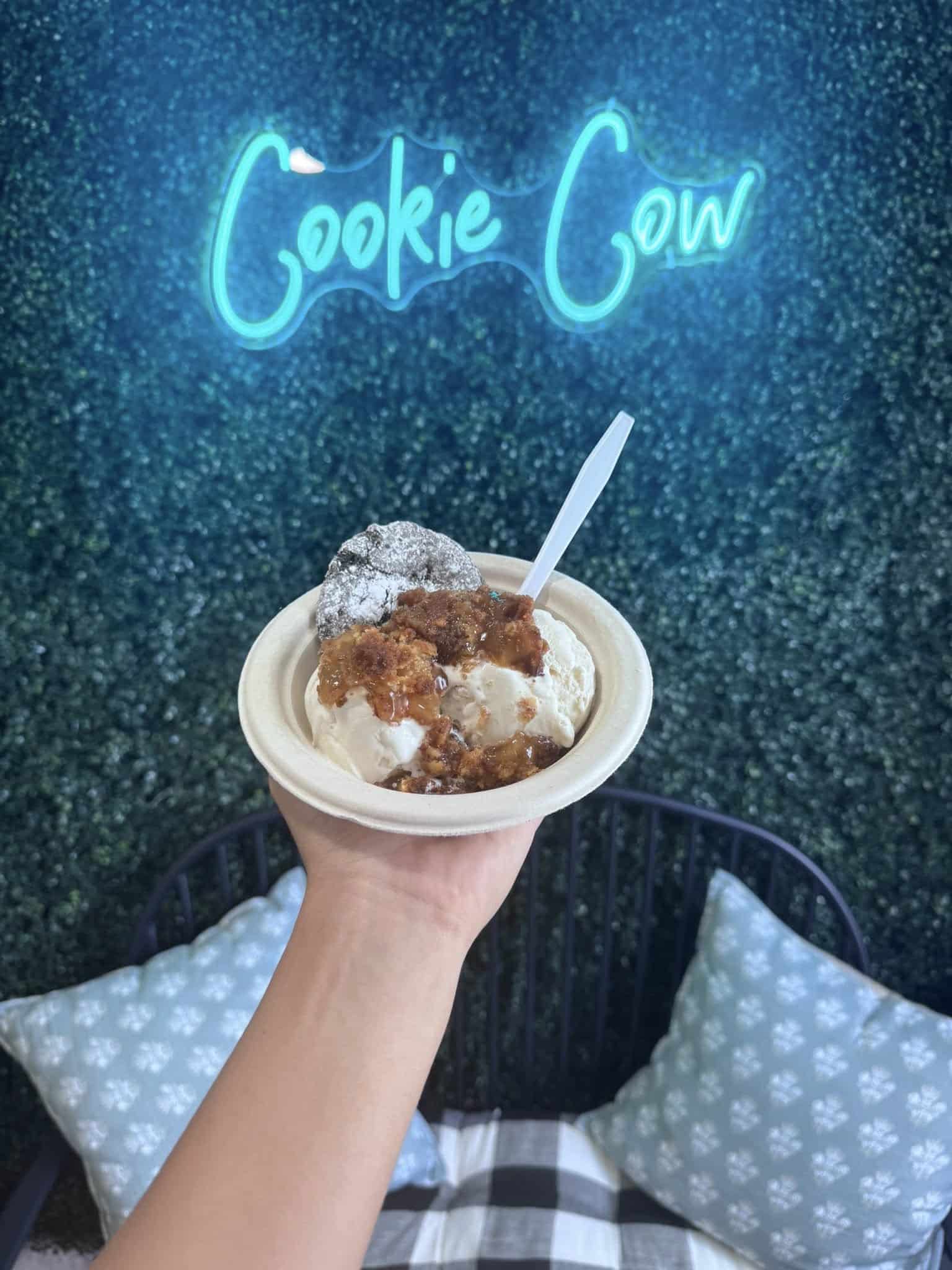 Cookie Cow Ice Cream with cookies and cobbler