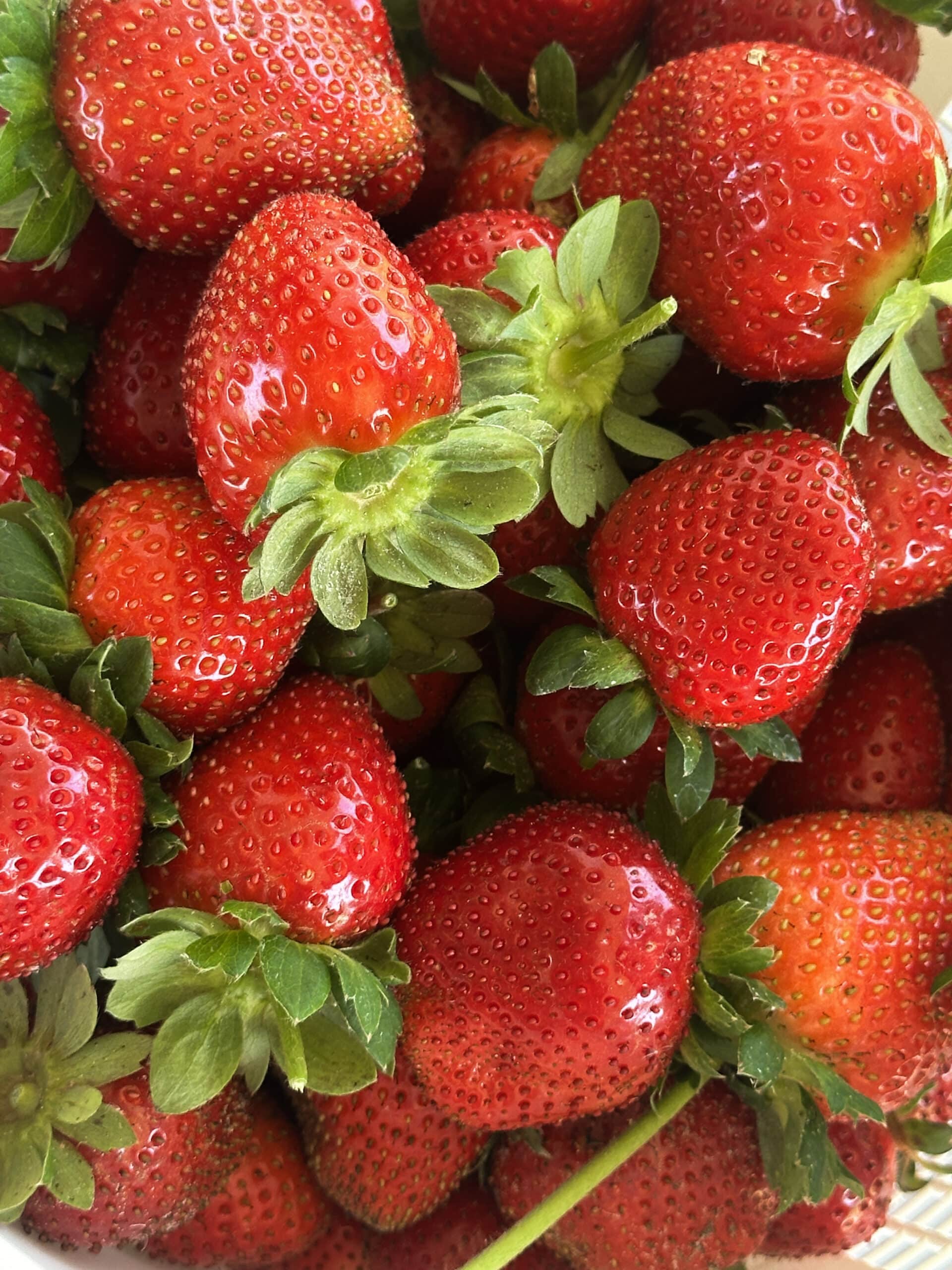 Close up shot of freshly picked bright red strawberries with green leaves