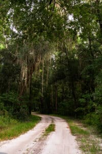 Ceylon WMA Pathway