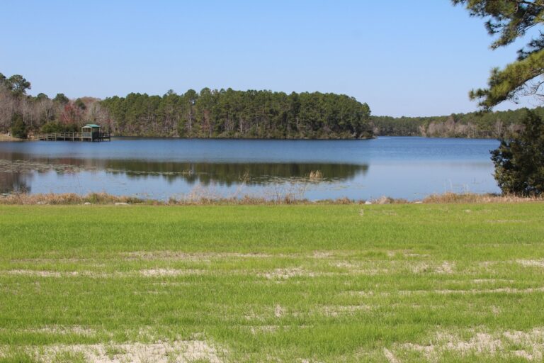 etowah-park-st-marys-kings-bay-near-kingsland-georgia