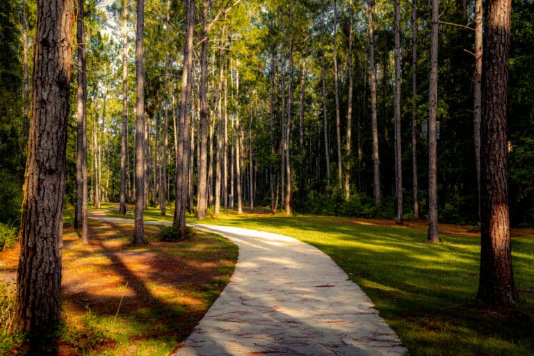 walking-biking-bath-at-Gumbranch-nature-preserve-in-kingsland-georgia