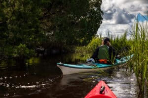 Paddling-kayakers-at-the-waterways-Park-St.-Marys-River-kayaking-kingsland-georgia