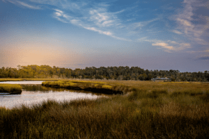 st-marys-greenway-sunset-near-kingsland-georgia
