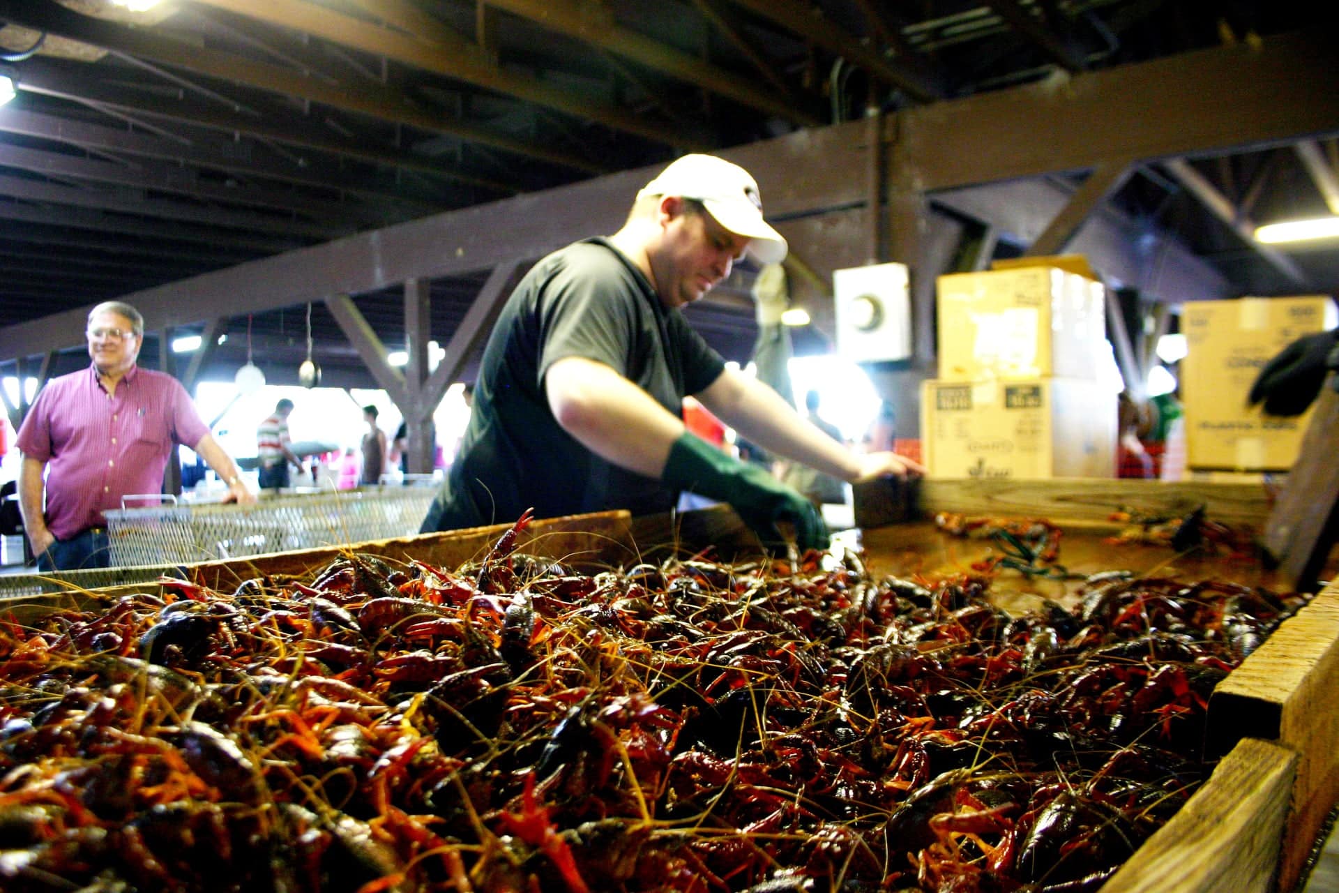 man-sorting-crawfish-at-the-festival-woodbine-georgia