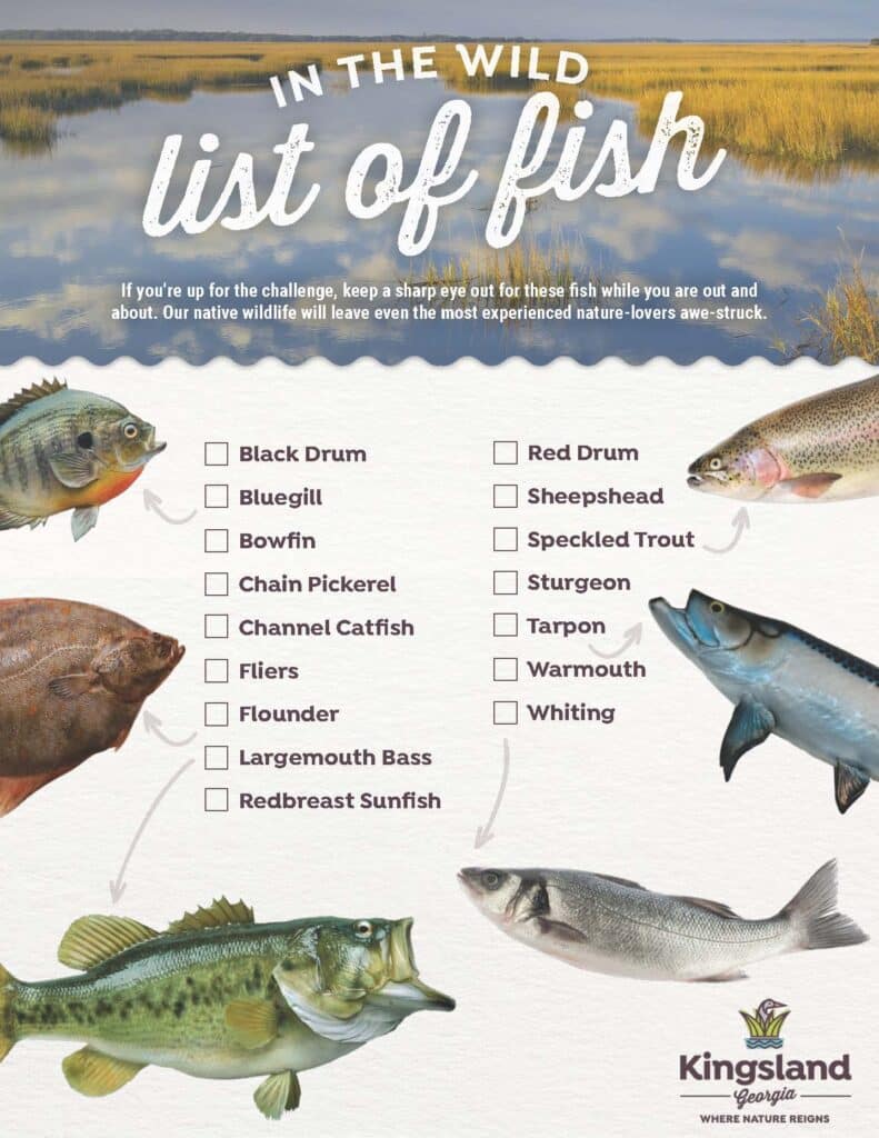 Kingsland Fish Species List