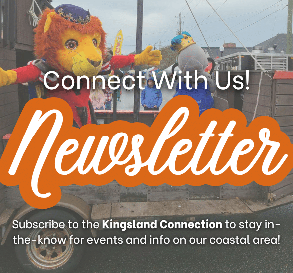 Image of Lion mascot behind text "Connect with Us! Newsletter. Subscribe to the Kingsland Connection to stay in-the-know for events and info on our coastal area!