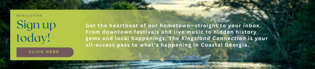 Sign-up-banner-for-the-visit-kingsland-newsletter