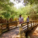 nature-wall-trail-kingsland-georgia-outdoors-biking-walking-dog-friendly-cumberland-island-national-seashore
