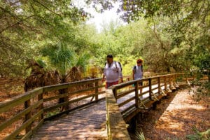 nature-wall-trail-kingsland-georgia-outdoors-biking-walking-dog-friendly-cumberland-island-national-seashore