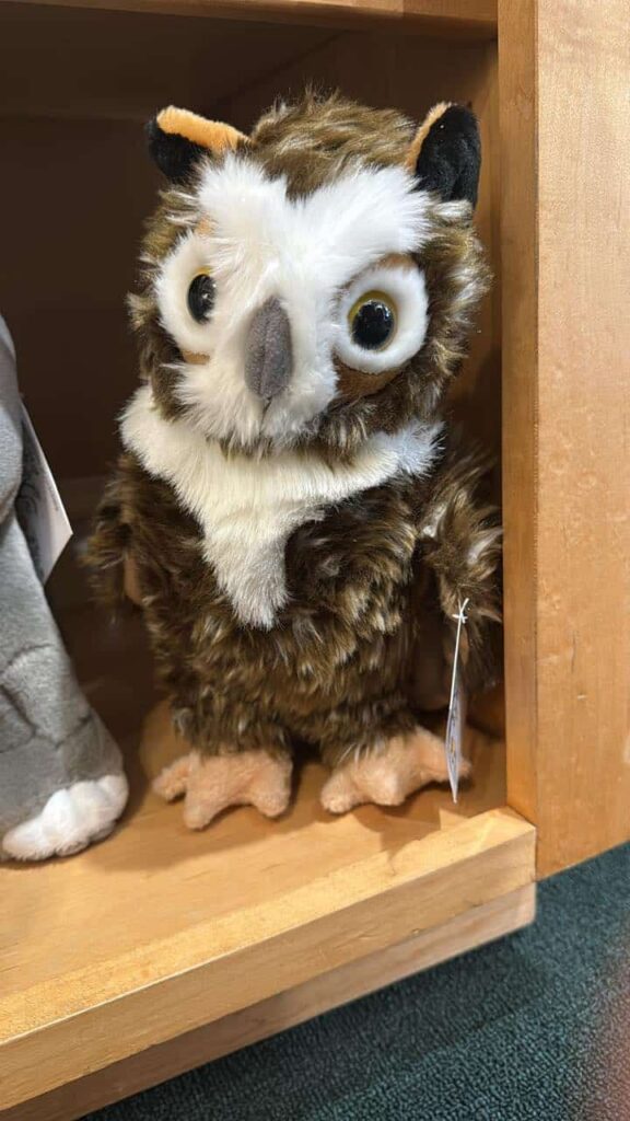 Stuffed owl doll on a shelf