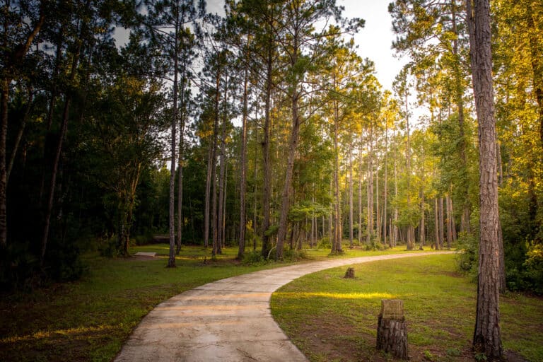 winding-pathed-walking-trail-through-the-woods-during-sunset-at-Gum-Branch-Nature-Preserver-in-kingsland-georgia