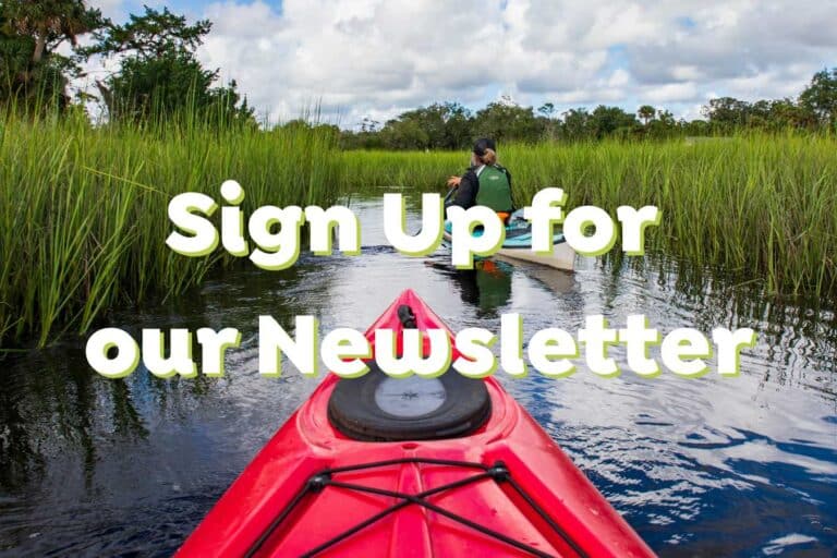 Sign-up-for-our-newsletter-kingsland-georgia