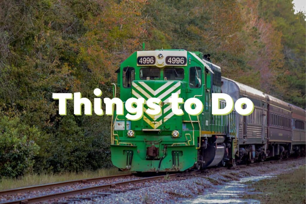 things-to-do-in-kingsland-georgia-coastal-georgia-camden-county