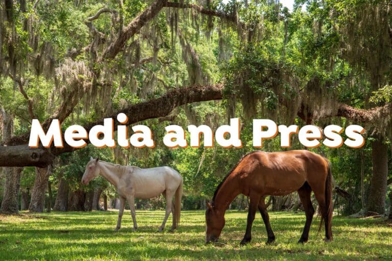 media-press-room-kingsland-georgia-camden-county-cumberland-island-okefenokee