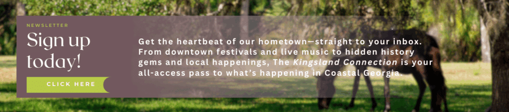 footer-banner-click-to-sign-up-for-the-kingsland-georgia-newsletter