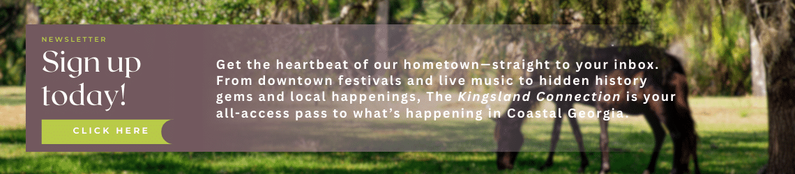 footer-banner-click-to-sign-up-for-the-kingsland-georgia-newsletter