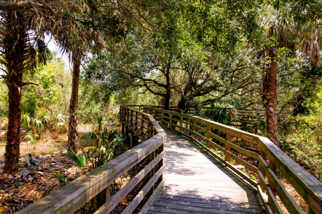 a-boardwalk-under-the-trees-on-cumberland-island-national-seashore-near-kingsland-georgia